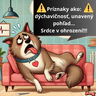 🐶„Keď tvoje šteňa zrazu začína dýchať, ako keby práve bežalo maratón, ale v skutočnosti len ležalo na gauči… 🤔🐶“ Áno,...