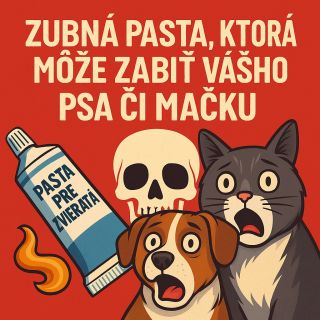 🔹 Návrh príspevku na sociálne siete 🦷 Zubná pasta, ktorá môže zabiť psa či mačku – viete o tom? ⚠️ Mnohí majitelia...