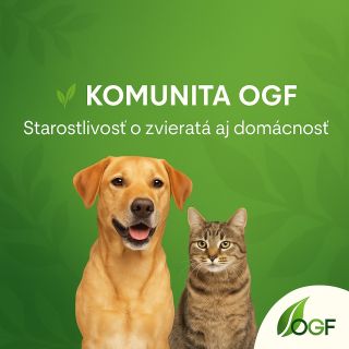 🌿 Máme pre vás novinku! Vytvorili sme komunitnú skupinu **KOMUNITA OGF**, kde nepredávame – ale **radíme a pomáhame** 💚...