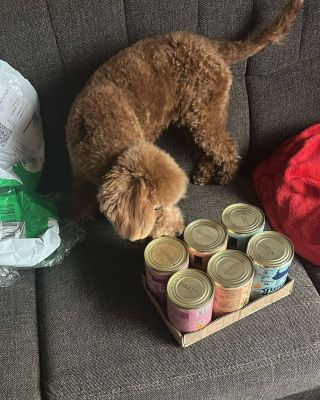 „Keď balík z OGF dorazí… Nella má jasno 😍🐶 Najprv kontrola konzerviek, potom rýchla ochutnávka pamlsku 💛 Majiteľka s ňou...